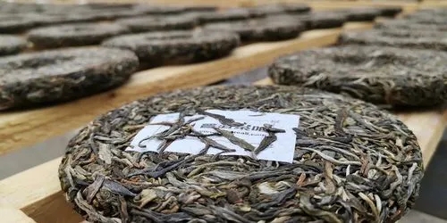 普洱茶真的可以减肥，干仓与湿仓普洱茶哪个好？