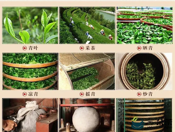 六大茶类的制作工艺 茶的制作工艺流程