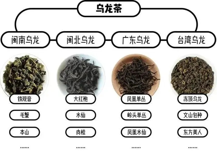 乌龙茶有多少种？一文带你寻迹中国乌龙茶地图！