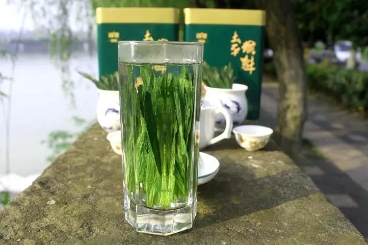 绿茶太平猴魁怎么冲泡？