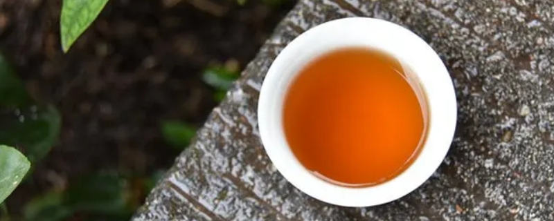 祁红是红茶还是绿茶