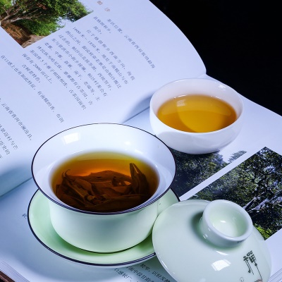 帕沙古树茶   357克勐海老树生普洱批发 2019年头春茶饼厂家直销