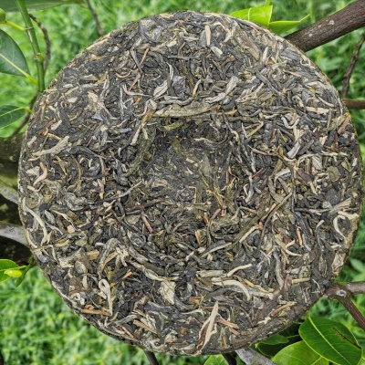 易武乔木普洱茶 云南生茶饼  357克原始森林生态茶叶源产地大货