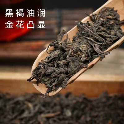 广西梧州2016年六堡茶黑茶特级金花干仓陈年老茶散装茶叶厂家批发